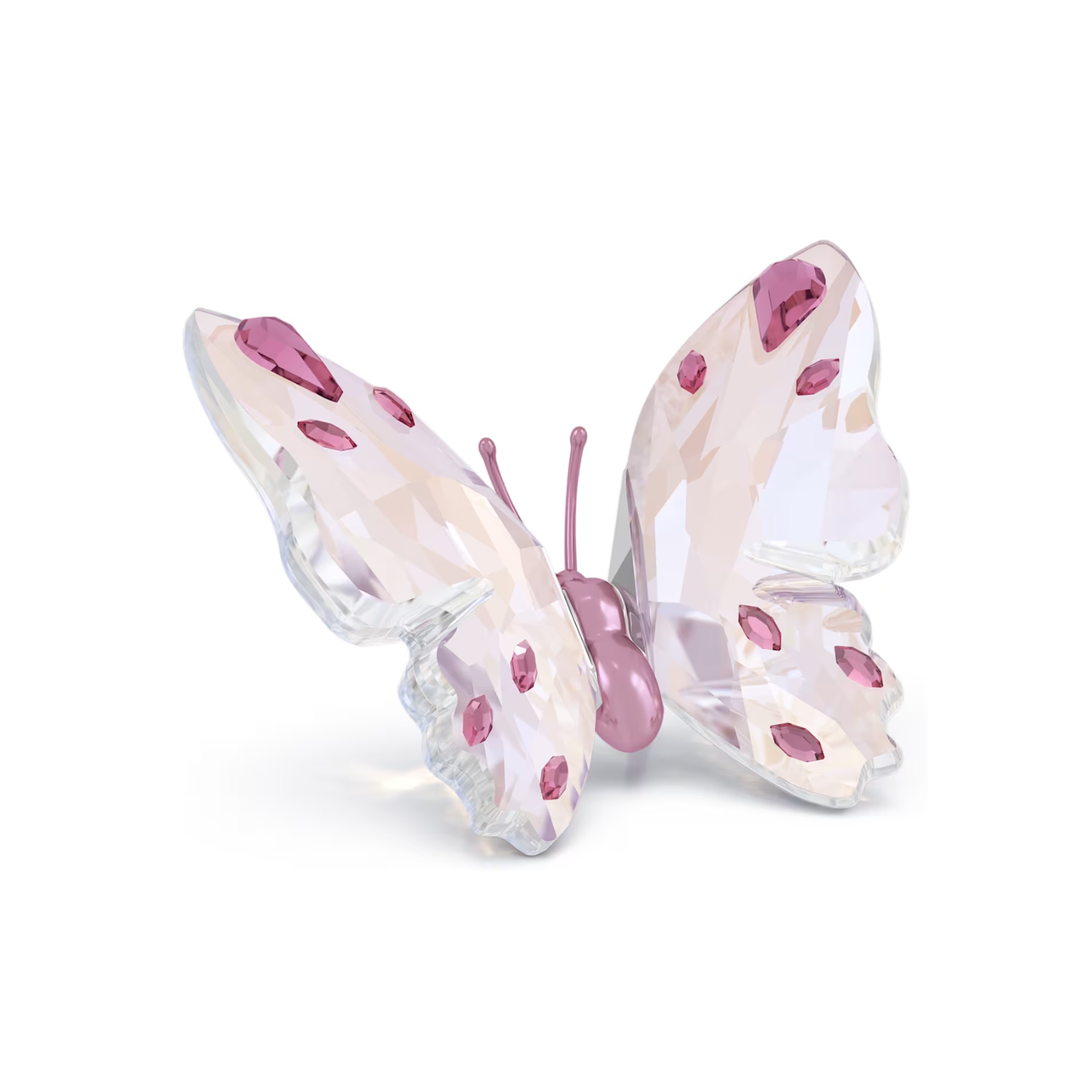 5691959 IDYLLIA: BUTTERFLY PINK