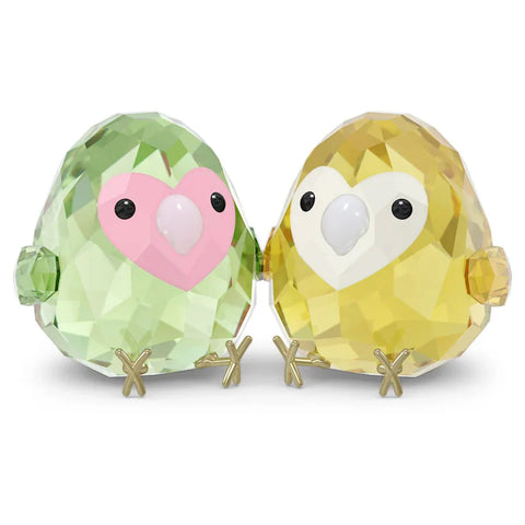 5644844 ALL YOU ARE BIRDS: LOVE BIRD COUPLE