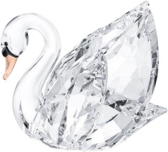 SWAN MEDIUM 5004724