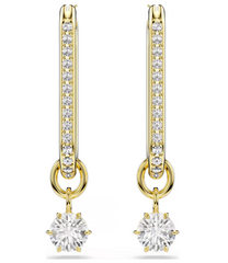 5728587 CONSTELLA:PE WHI/GOS