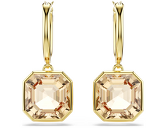 5731148 MILLENIA:PE ASCHER LCTO/GOS