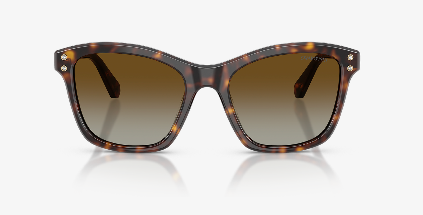 SWAROVSKI 0SK6063 1002T554 HAVANA W/POLAR BROWN GRADIENT