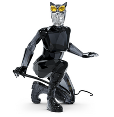 5633660 DC COMICS: CATWOMAN