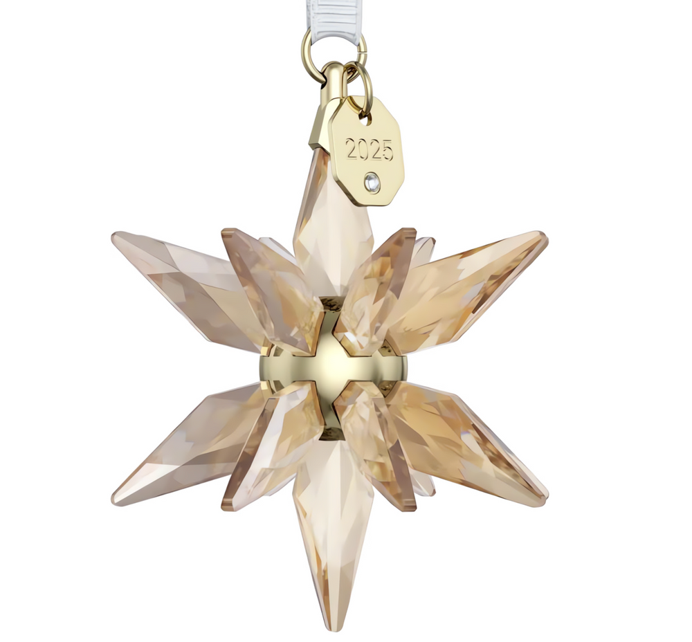 5701505 Annual Edition Festive 3D Ornament 2025