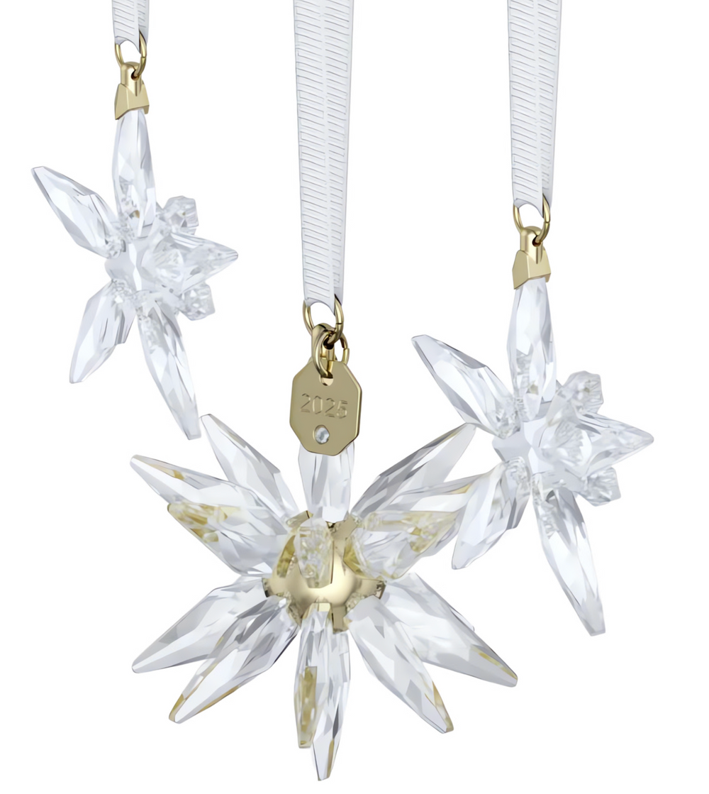 5701628 Annual Edition 3D Ornament Set 2025