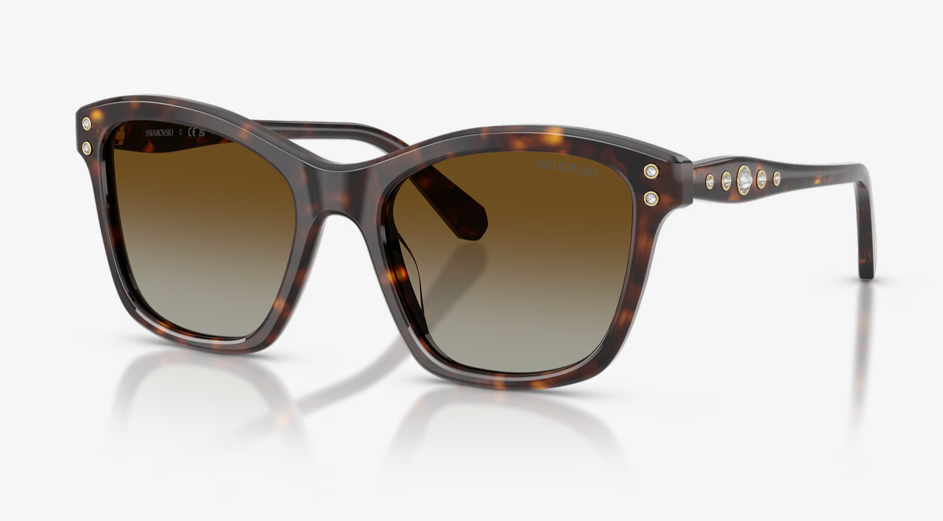 SWAROVSKI 0SK6063 1002T554 HAVANA W/POLAR BROWN GRADIENT