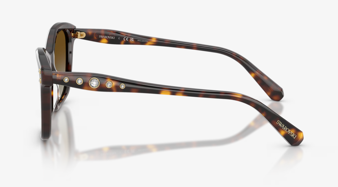 SWAROVSKI 0SK6063 1002T554 HAVANA W/POLAR BROWN GRADIENT