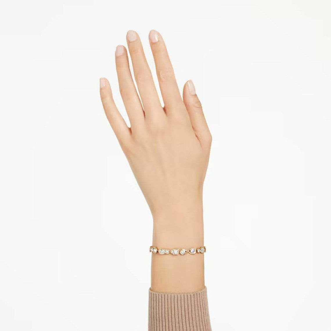 5667044 DEXTERA: BRACELE SMALL CRY/GOS M