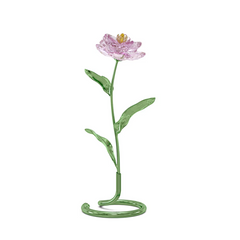 5668065 FLORERE: PEONY