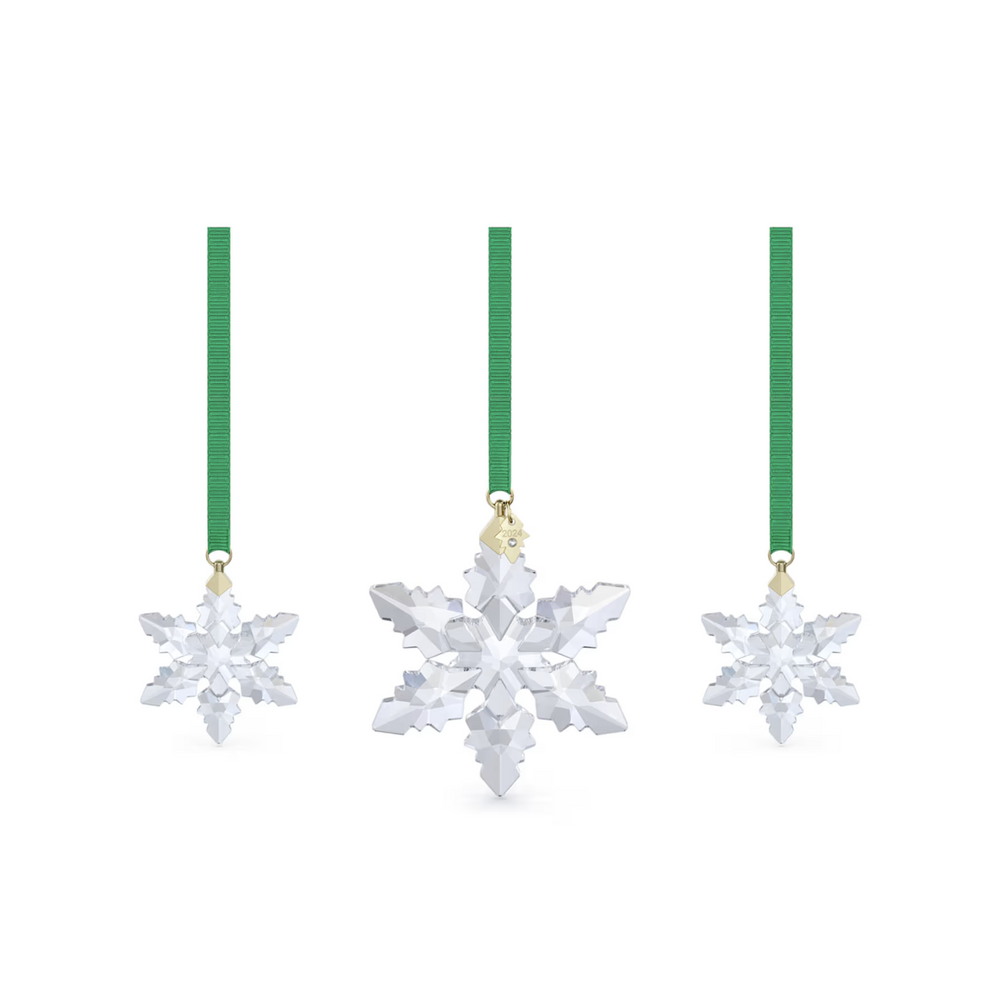 5674317 ANNUAL EDITION :ORNAMENT SET 2024