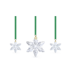 5674317 ANNUAL EDITION :ORNAMENT SET 2024