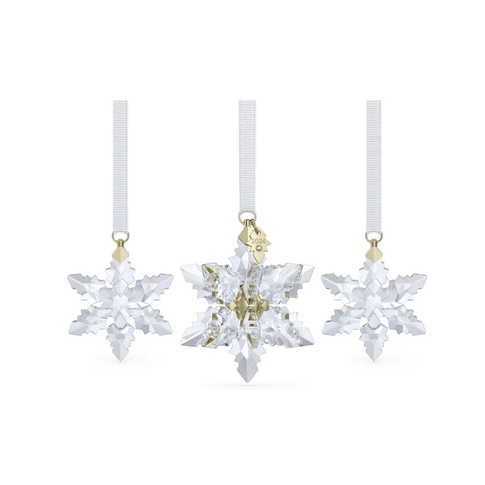 5674410 ANNUAL EDITION:ORNAMENT SET 3D 2024