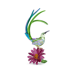 5675166 IDYLLIA:SUGARBIRD AND CACTUS FLOWER
