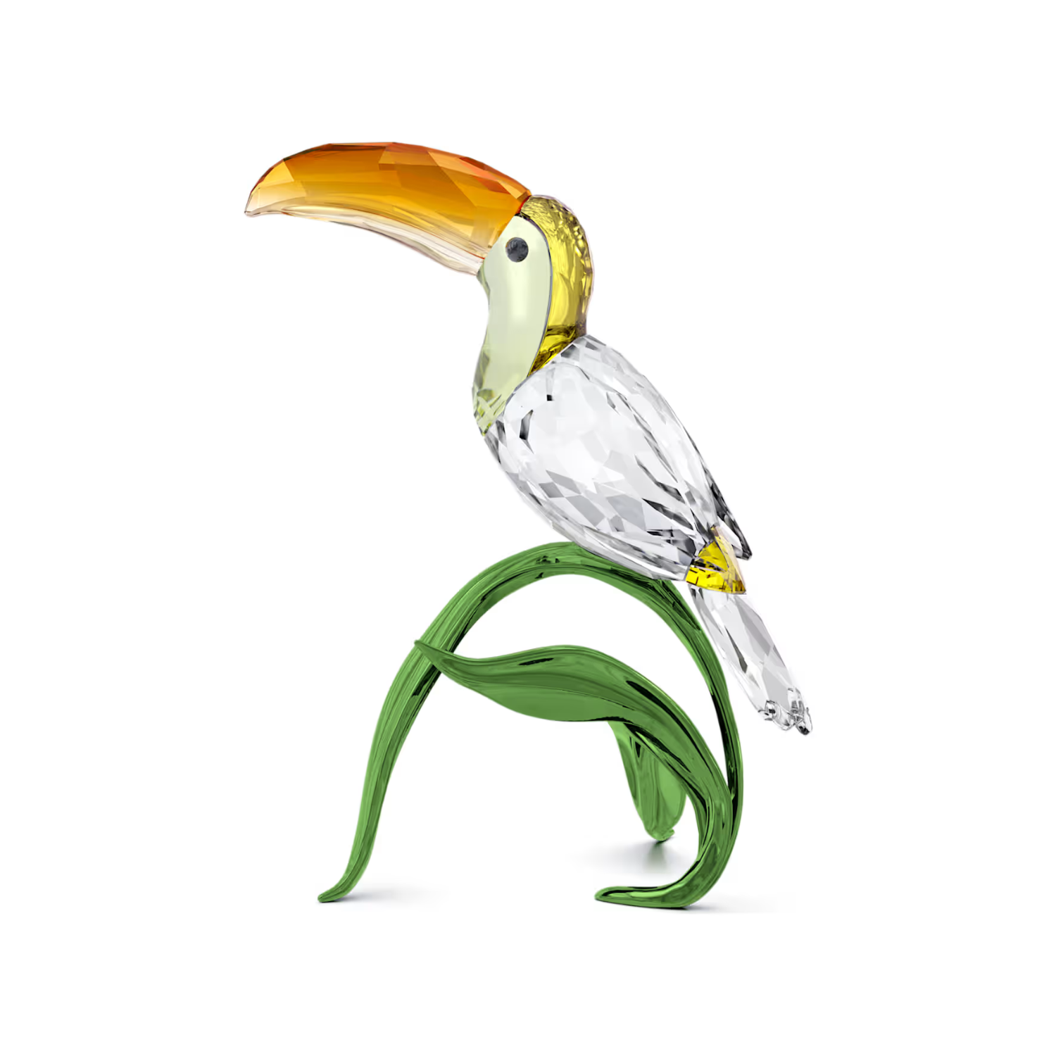 5693142 IDYLLIA:TOUCAN