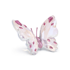 5691959 IDYLLIA: BUTTERFLY PINK