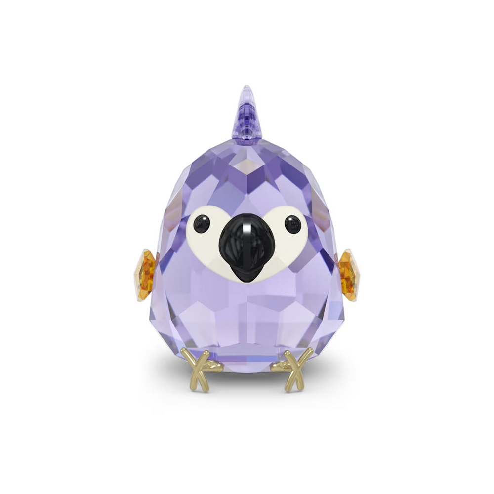 5644843 All you Need are Birds Purple Macaw