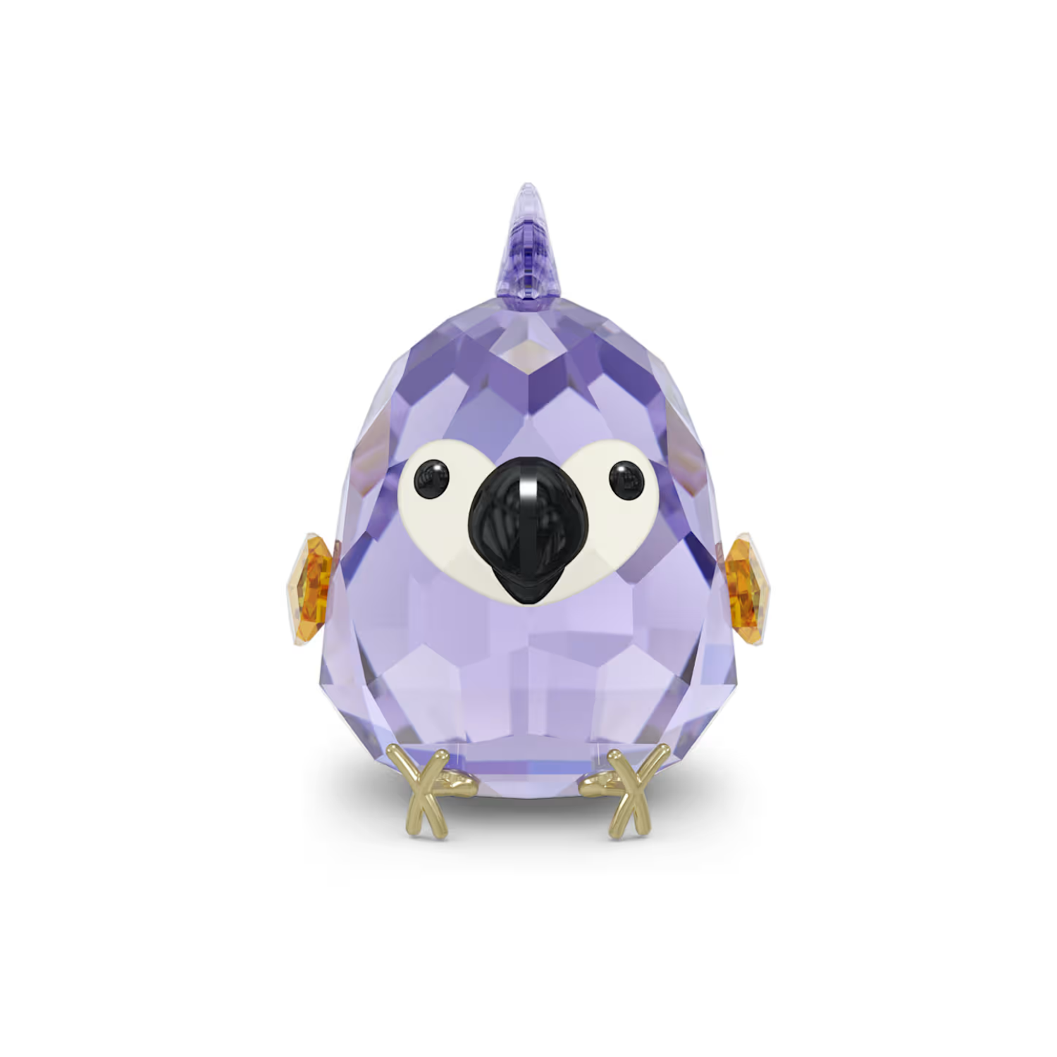 5644843 All you Need are Birds Purple Macaw