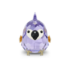 5644843 All you Need are Birds Purple Macaw