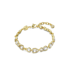 5667044 DEXTERA: BRACELE SMALL CRY/GOS M