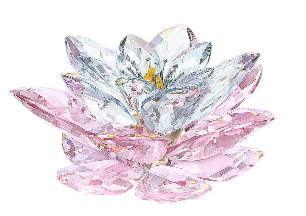 WATERLILY, ROSALINE 1141674